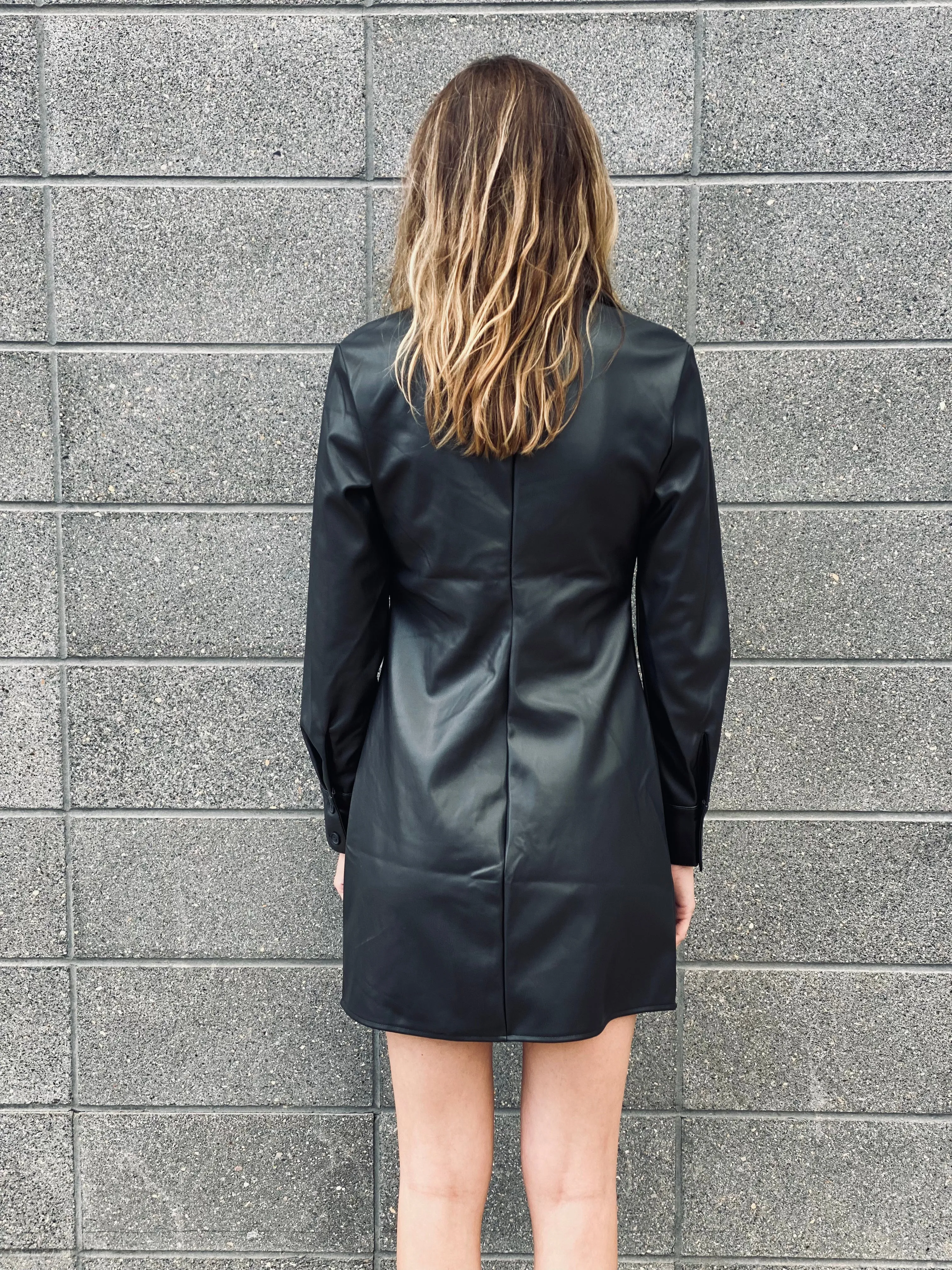RILEY VEGAN LEATHER DRESS